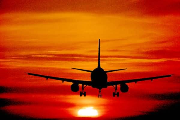 Stay in a cheap aiport bed and breakfast and then fly away. Take advantage of a cheap airport hotel deals Stay in a cheap aiport bed and breakfast and then fly away. Take advantage of a cheap airport hotel deals