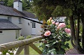 Frogwell Bed and Breakfast