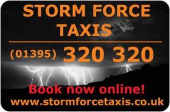 Storm Force Taxis 