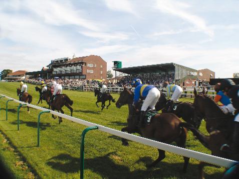 Sedgefield Racecourse